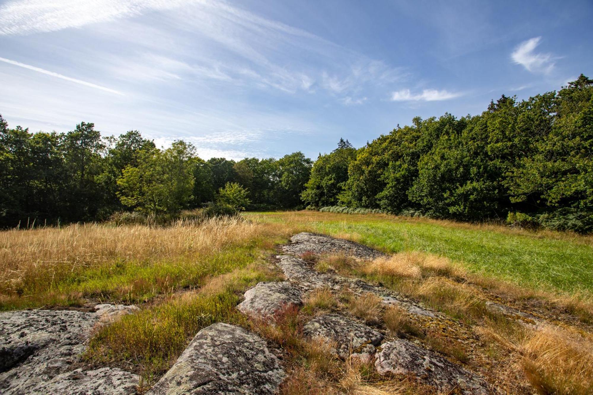 Sjaelegard Countryside Lodge Allinge-Sandvig Kültér fotó