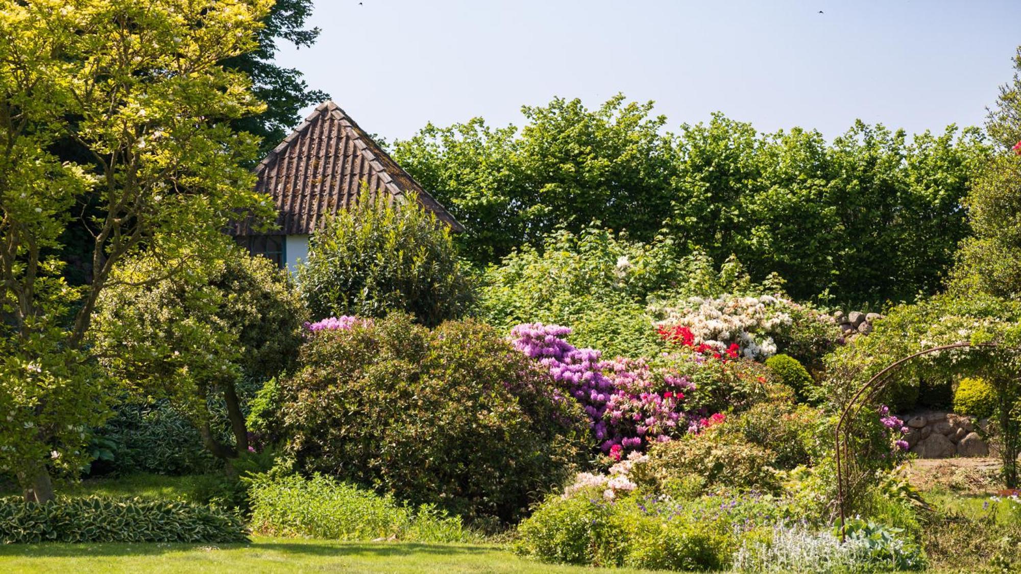Sjaelegard Countryside Lodge Allinge-Sandvig Kültér fotó